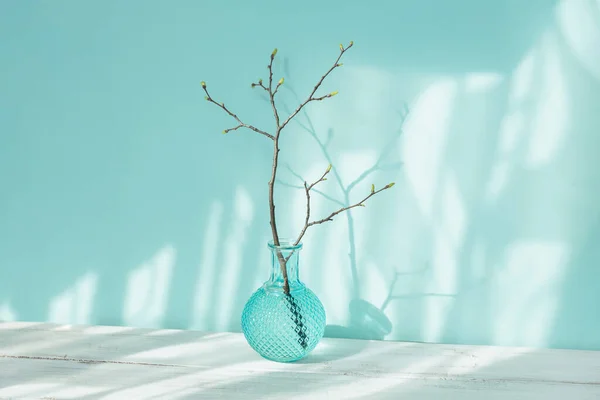 Composition minimalism style. Tree branch with buds in vase on light blue background with sunlight and beautiful trendy shadows. Spring background with Free copy space for text