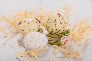 Easter candy chocolate eggs and almond sweets lying in a birds nest decorated with flowers on white wooden background. Happy Easter concept.