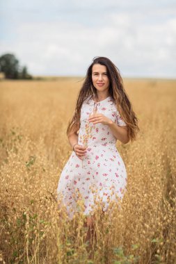 A beautiful brunette woman in a white dress runs along a field of golden chickpeas ear. Stylish girl in the field in windy weather