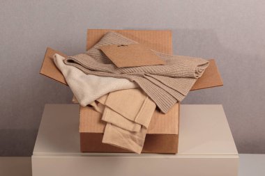 Tekrar kullanılmak üzere kullanılmış gardırobu olan karton bir kutu. İkinci el kıyafet fikri. Dairesel moda, hızlı moda, sürdürülebilir etik tüketim ve alışveriş, bağış, dükkan konsepti