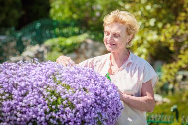 Mor çiçekleri olan ve bitkilerle ilgilenen büyük bir saksının yanında duran yaşlı kadın.