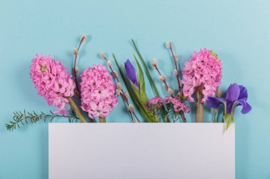 Mothers or Womens Day mock up card from spring hyacinth and iris flowers. Greeting card with empty place for text for International Mothers Day on blue background