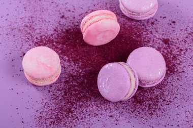 Pastel renginde tatlı Fransız kurabiyeleri ve mor arka planda kuru yabanmersini tozu. Pastane ve pastane için güzel bir kompozisyon.