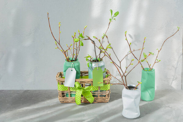 Reused tin cans containing plants, zero waste household, recycle, ecology gardening, sustainable living concept.