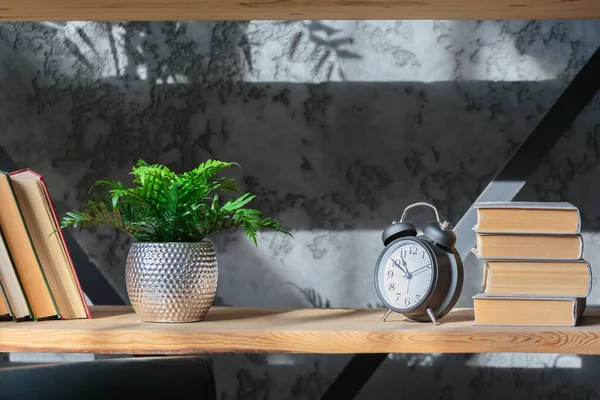 stock image Sunlight shadow on storage shelves with books and flowers. Light wooden bookshelves with hardback overturned books in gray loft interior, home library, biophylic design and plants