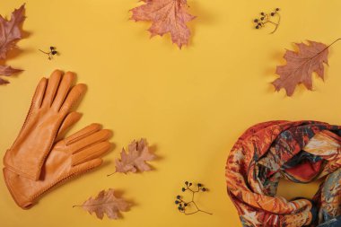 Sonbahar kadın aksesuarları koleksiyonuyla yatıyordu. Soğuk hava için sıcak sarı eldivenlerin üst görüntüsü. Alışveriş, moda blogu, satış, moda rengi konsepti