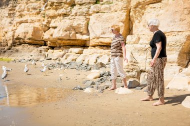 Koyu güneş gözlüklü iki yaşlı kadın kayalık sahilde martıları besliyor ve hayatlarının tadını çıkarıyorlar. Emeklilikte mutlu bir hayat