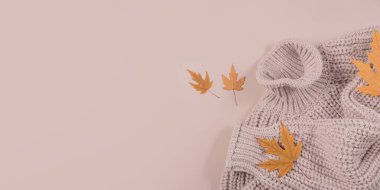 Mevsimlik sonbahar indirimi için bej arka planda sıcak kadın süveteri ve kuru yaprakları olan düz bir pankart. Üst görünüm, metin için boşluk kopyala