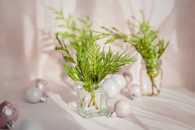 Şeffaf vazolarda selvi dalları ve Noel süslemeleri. Açık bej arka planda gölgeli, doğal güneş ışığıyla daimi yeşil ladin çiçekli bir buket. Minimalist Noel dekoru