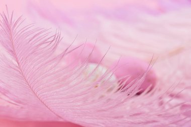 Easter candy chocolate eggs and almond sweets lying on pink feathers background. Happy Easter concept.