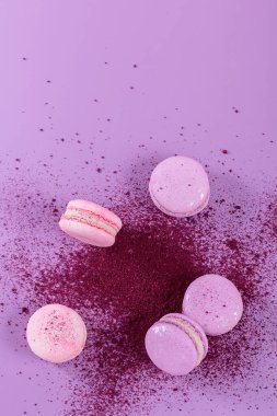 Pastel renginde tatlı Fransız kurabiyeleri ve mor arka planda kuru yabanmersini tozu. Pastane ve pastane için güzel bir kompozisyon. Metin için kopyalama alanı olan üst görünüm