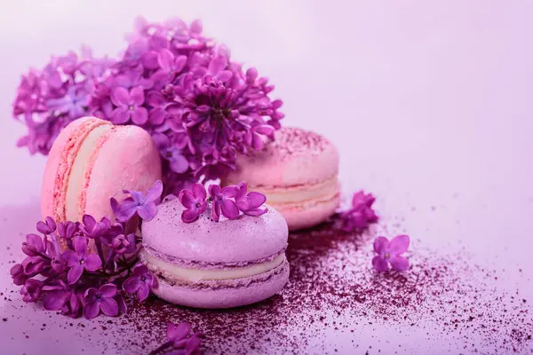 Pastel renginde, üzerinde leylak çiçekleri ve pembe arka planda kuru yaban mersini tozu olan Fransız kurabiyeleri. Pastane ve pastane için güzel kompozisyon