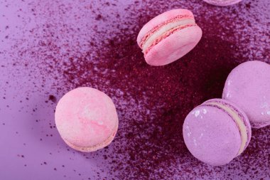 Pastel renginde tatlı Fransız kurabiyeleri ve mor arka planda kuru yabanmersini tozu. Pastane ve pastane için güzel bir kompozisyon.