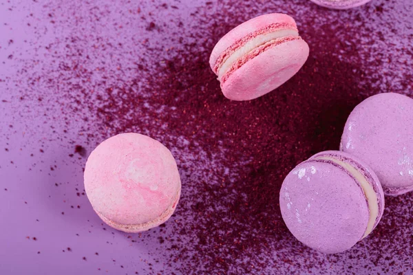 Pastel renginde tatlı Fransız kurabiyeleri ve mor arka planda kuru yabanmersini tozu. Pastane ve pastane için güzel bir kompozisyon.