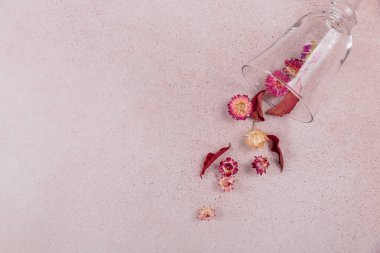 Kırmızı kurumuş çiçeklerle dolu cam kadehten sonbahar kompozisyonu ve bej arka planda yapraklar. Sonbahar arkaplanı