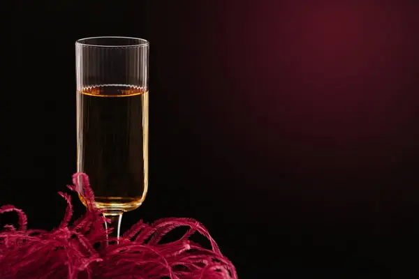 Glass of white sparkling wine and large red feather on dark background. Beautiful glamorous romantic greeting card