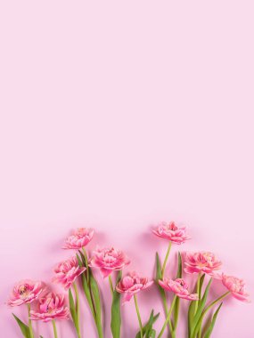 Pembe arka planda pembe laleler. Kadınlar için bahar hediyesi. Doğum günü, Anneler Günü ve Kadınlar Günü ya da davetiye kartı. Üst görünüm, kopyalama alanı olan düz uzanma