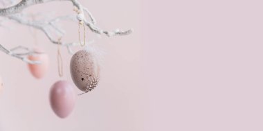Pastel pembe arka planda Paskalya yumurtalarıyla süslenmiş ağaç dalı. Ev Paskalya dekoru. Mutlu Paskalya tebrik kartları ya da davetiyeler. Metin için kopyalama alanı olan pankart