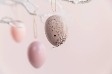 Pastel pembe arka planda Paskalya yumurtalarıyla süslenmiş ağaç dalı. Ev Paskalya dekoru. Metin için kopya alanı olan Mutlu Paskalya tebrik kartları ya da davetler