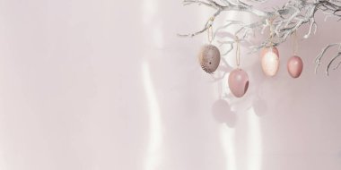 Paskalya yumurtalarıyla süslenmiş ağaç dalı. Pastel pembe arka plan, güneş ışığı ve gölgelerle süslenmiş. Ev Paskalya dekoru. Mutlu Paskalya tebrik kartları ya da davetiyeler. Metin için kopyalama alanı olan pankart