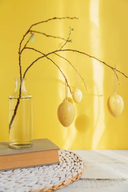 Bahar dalında asılı Paskalya yumurtaları parlak sarı arka planda güneş ışığı ve gölgelerle genç bir ağaç. Ev Paskalya dekoru. Kopya alanı olan Mutlu Paskalyalar veya davetiye kartları