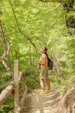 Orta yaşlı şort giymiş bir kadın sırt çantasıyla orman yolunda yürüyor. Çekici kadın gezgin yürüyüş parkurunda rahatlıyor ve doğanın tadını çıkarıyor. Zihinsel detoks ve fiziksel sağlık kavramı