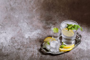 Gümüş tepside buzlu, limonlu ve nane arkaplanlı temiz soğuk içeceklerle dolu çeşitli bardakların toplanması. Kokteyl partisi, alanı kopyala