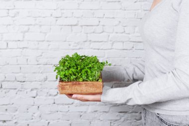 Bir kadın, küçük yeşil bahçesiyle beyaz bir arka planda ilgilenmekten zevk duyar. Hobisini ve doğa bakımını sergiler..