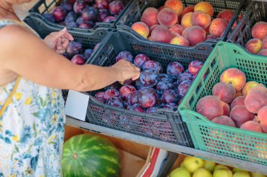 Tanımlanamayan olgun bir kadın tatil köyündeki sokak dükkanından meyve seçiyor. Çiftlik dükkanında sağlıklı yaz alışverişi