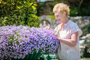 Mor çiçekleri olan ve bitkilerle ilgilenen büyük bir saksının yanında duran yaşlı kadın.