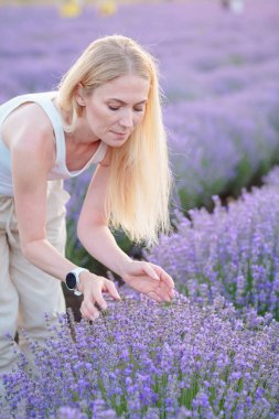 Lavanta tarlası. Sarı saçlı genç ve çekici bir kadın. Lavanta çiçekleri arasında yürüyor. Kameraya poz veriyor, dinleniyor, doğanın tadını çıkarıyor, kokluyor ve çiçeklere dokunuyor. Ruh Sağlığı