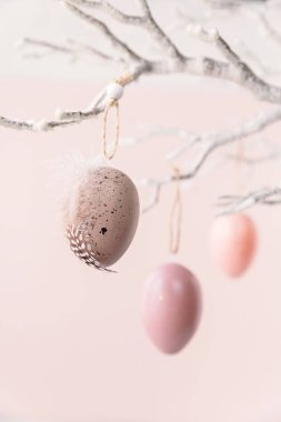 Pastel pembe arka planda Paskalya yumurtalarıyla süslenmiş ağaç dalı. Ev Paskalya dekoru. Metin için kopya alanı olan Mutlu Paskalya tebrik kartları ya da davetler