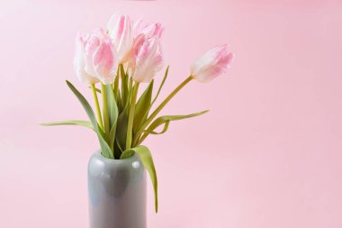 Pastel pembe arka planda vazodaki güzel pembe laleler. Merhaba bahar selamı ya da davetiye kartı. Metin için alanı kopyala