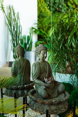 Modern çevre dostu bir evde yemyeşil bir yeşillikle çevrili huzurlu bir Buda heykeli rahatlatıcı ve ruhani bir ortam yaratıyor..