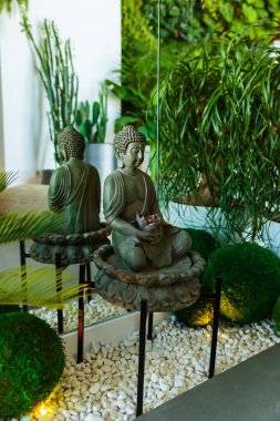 Huzurlu bir ev dekoru, bir Buda heykeli, yemyeşil bitkiler, ve sakin ve düşünceli bir atmosfer için doğal elementler..