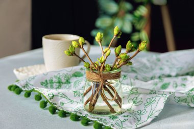 Cam kavanozdaki dalların üzerindeki yeşil tomurcuklar. Kahve, tekstil ve taze yeşillik ile sıcak bahar sabahı konsepti.