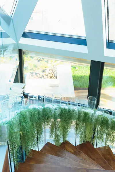 Şık ahşap merdiven, yemyeşil sallanan bitkiler ve parlak modern bir iç mekanda cam parmaklıklar..