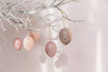 Paskalya yumurtalarıyla süslenmiş ağaç dalı. Pastel pembe arka plan, güneş ışığı ve gölgelerle süslenmiş. Ev Paskalya dekoru. Metin için kopya alanı olan Mutlu Paskalya tebrik kartları ya da davetler