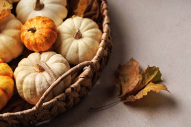 Tarafsız taşın üzerine kuru yapraklarla yerleştirilmiş beyaz ve turuncu balkabaklarıyla dolu bir sepet.