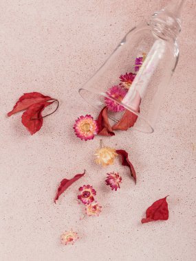 Kırmızı kurumuş çiçeklerle dolu cam kadehten sonbahar kompozisyonu ve bej arka planda yapraklar. Sonbahar arkaplanı