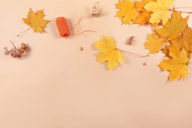 Bej arka planda sarı kurumuş yapraklardan sonbahar kompozisyonu. Arkaplanı düşür, üst görünümü kopyala