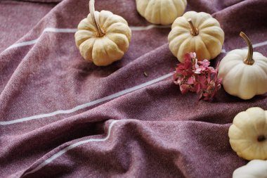 Beyaz balkabakları ve desenli kumaşın üzerindeki pembe ortancalardan oluşan samimi bir sonbahar kompozisyonu. Şükran Günü davetiyeleri, mevsimlik tebrik kartları ve sonbahar dekorasyonu için ideal.