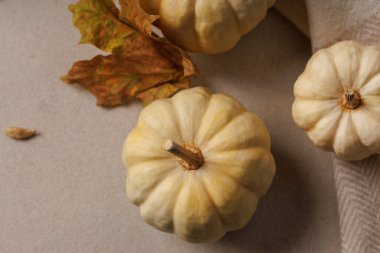 Kurumuş sonbahar yaprakları ve tarafsız arka planda kakule ile soluk mini balkabağı yakın plan..