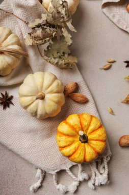 Hafif tekstil arka planında sıralanmış kuru yaprakları ve baharatları olan sarı ve beyaz balkabakları..