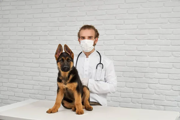 Portrait Good Natured Vet His Dog Patient Animal Gratefully Looking — Stock Photo, Image