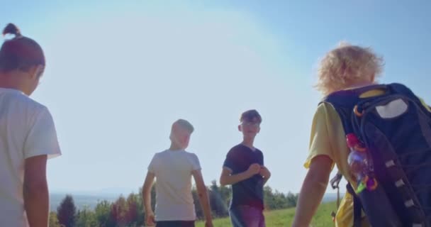 回头看四个小男孩一起去 走小路 享受美好的天气 一群游客一起旅行 远足的概念和团队精神 — 图库视频影像