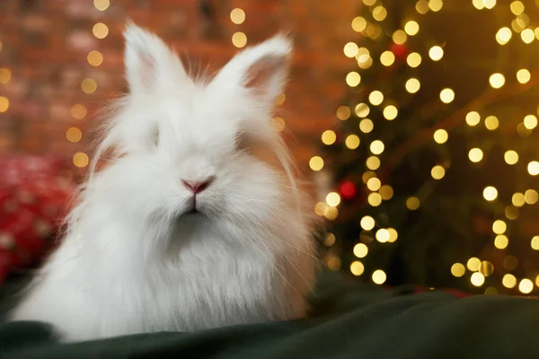 かわいい 毛皮のウサギの緑のソファの上に座って ポーズのフロントビュー 輝くガーランドで飾られた部屋で 屋内でポーズ新年のシンボル 新年とクリスマスの概念 — ストック写真
