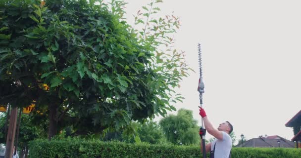 Tukang Kebun Profesional Dalam Seragam Dan Sarung Tangan Menggunakan Pemangkas — Stok Video