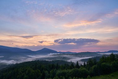 Çevresinde yeşil vahşi doğa olan güzel dağların üzerinde büyüleyici bir yaz günbatımı. Doğal manzara ve mevsimsel güzellik konsepti.