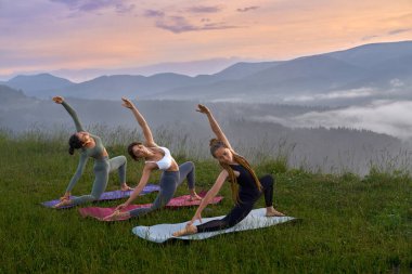 Spor kıyafetleri içinde yoga minderinde egzersiz yapan bir grup aktif genç kadın. Yaz boyunca üç kadın birlikte antrenman yapıyor.. 